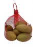 Sapodilla