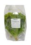 lettuce